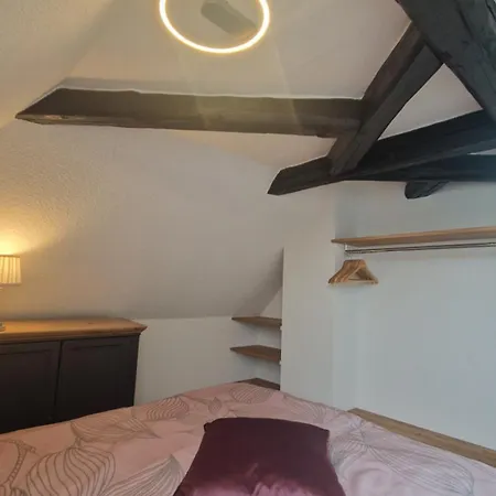 Apartment Koenigsnase Pirna