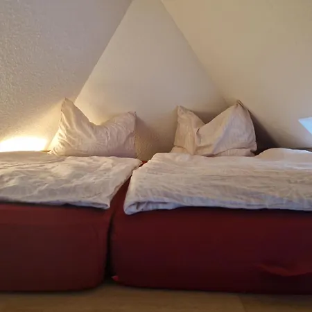 Koenigsnase * Pirna